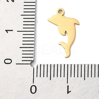 304 Stainless Steel Charms STAS-S138-01G-03-1