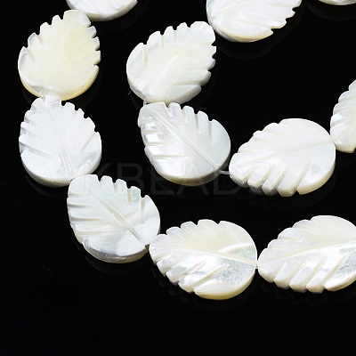 Natural Trochid Shell/Trochus Shell Beads Strands SSHEL-N034-136A-01-1
