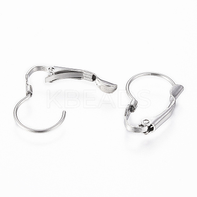 Tarnish Resistant 304 Stainless Steel Leverback Earring Findings LS-STAS-G161-20B-1