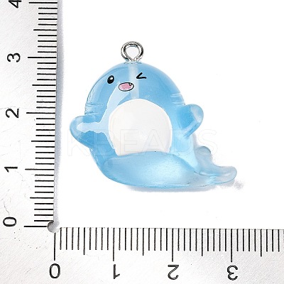 Luminous Resin Pendants LS-RESI-U001-01D-1