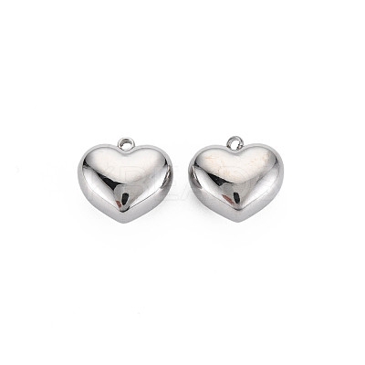 Non-Tarnish 304 Stainless Steel Charms STAS-N097-148P-1