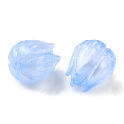 Transparent Acrylic Beads OACR-K005-13-1