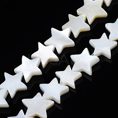 Natural Freshwater Shell Beads Strands X-SHEL-S278-01B-01-1