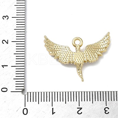 Alloy Rhinestone Pendants FIND-L026-06G-1