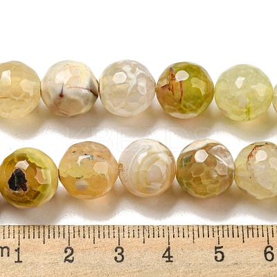 Faceted Natural Fire Crackle Agate Beads Strands G-F447-12mm-H01-1