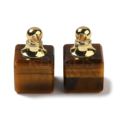 Natural Tiger Eye Perfume Bottle Pendants G-Z039-04G-02-1