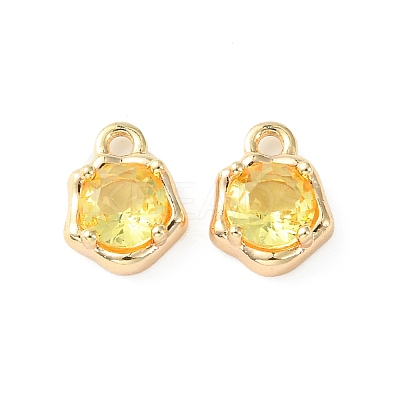 Brass Micro Pave Cubic Zirconia Charms KK-L208-10G-04-1