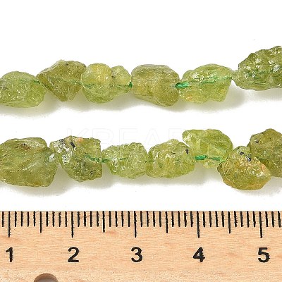 Raw Rough Natural Peridot Beads Strands G-M453-D12-1