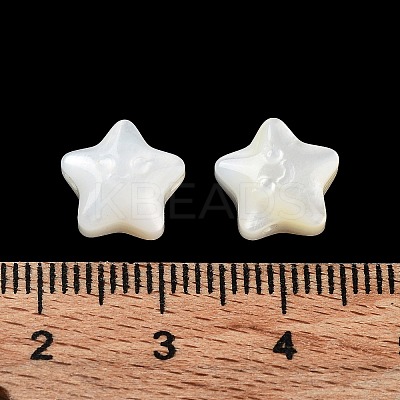 Natural White Shell Beads SHEL-M020-02A-1