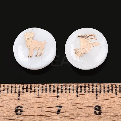 Natural Freshwater Shell Beads SHEL-N037-02E-G-1