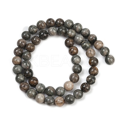 Natural Gemstone Beads Strands G-F792-C11-06-1