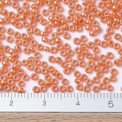 MIYUKI Round Rocailles Beads X-SEED-G007-RR0424-1