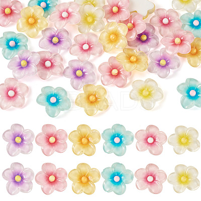 30Pcs 6 Colors Transparent Resin Cabochons RESI-TA0004-45-1