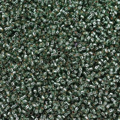 MIYUKI Delica Beads X-SEED-J020-DB2165-1