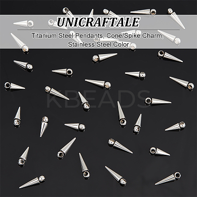 40Pcs 2 Style Stainless Steel Pendants STAS-UN0052-79-1