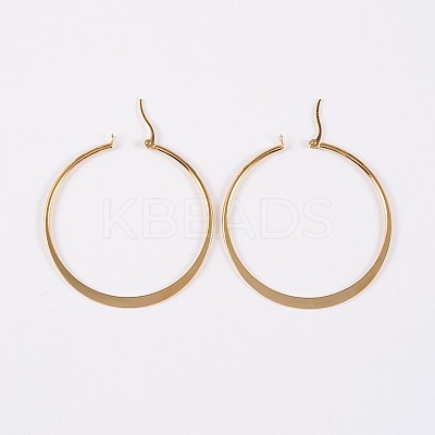 304 Stainless Steel Hoop Earrings X-EJEW-P040-20-B-1