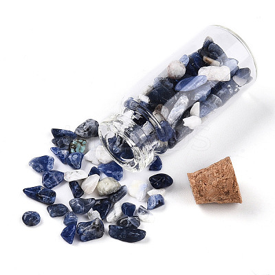Glass Wishing Bottle Display Decorations AJEW-T013-02D-1
