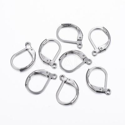 Tarnish Resistant 304 Stainless Steel Leverback Earring Findings STAS-H376-100-1