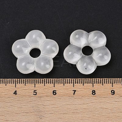 Transparent Glass Beads GLAA-F129-01N-1