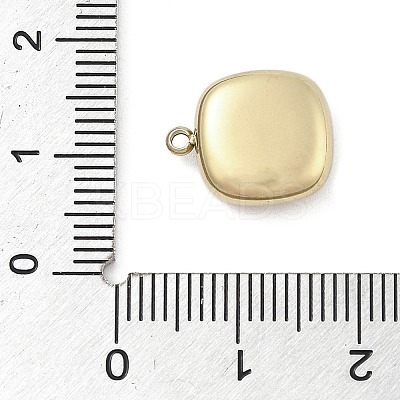 316 Surgical Stainless Steel Charms STAS-S159-02C-G-1