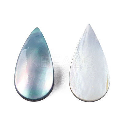 Natural Turbo Cornulus/Top Shells Cabochons SSHEL-N003-156A-1