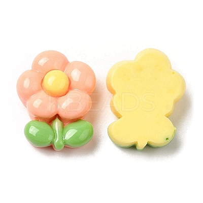 Cartoon Opaque Resin Cabochons X-RESI-C039-03E-1