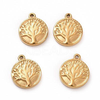 304 Stainless Steel Charms STAS-G071-15G-1