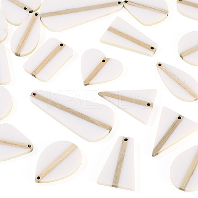 20Pcs 10 Styles Opaque Resin & Wood Pendants Sets RESI-TA0004-63B-1