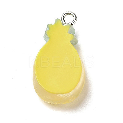 Resin Pendants X1-RESI-P027-04M-1