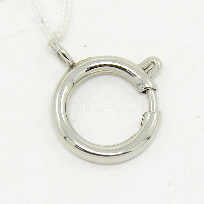 Tarnish Resistant 304 Stainless Steel Spring Ring Clasps STAS-O040-C-04-1
