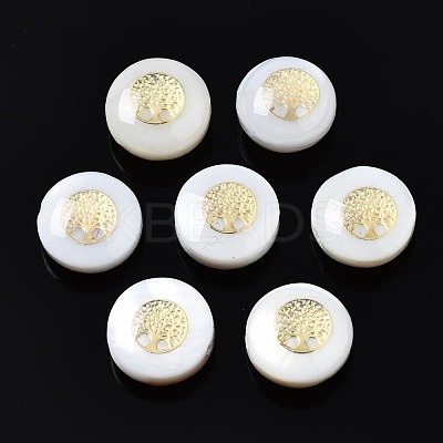 Freshwater Shell Beads SHEL-T018-20-1