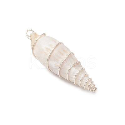 Copper Wire Wrapped Natural Spiral Shell Big Pendants PALLOY-JF03397-01-1