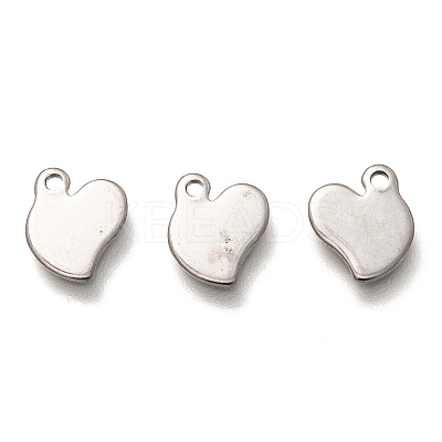 Non-Tarnish 304 Stainless Steel Charms STAS-H128-07P-1