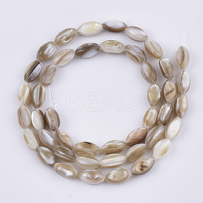 Freshwater Shell Beads Strands X-SHEL-S276-34B-1