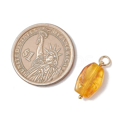 Gradient Color Natural Amber Pendants PALLOY-JF04987-1