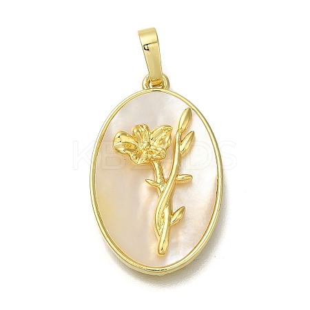 Brass Pave Shell Birth Flower Pendants FIND-I040-04H-1