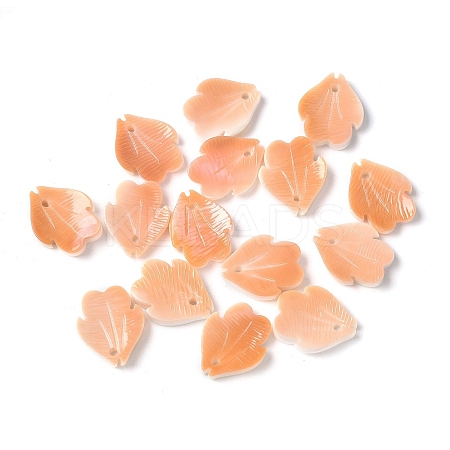 Natural Sea Shell Carved Leaf Charms SSHEL-C013-02B-1