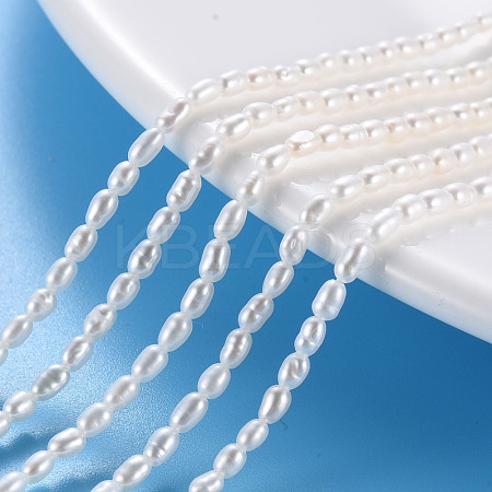 Grade AAA Natural Cultured Freshwater Pearl Beads Strands PEAR-N012-03A-1