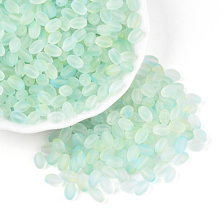 Frosted Glass Seed Beads SEED-N008-05F-1