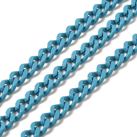Spray Painted 304 Stainless Steel Curb Chains STAS-B067-05B-06-1