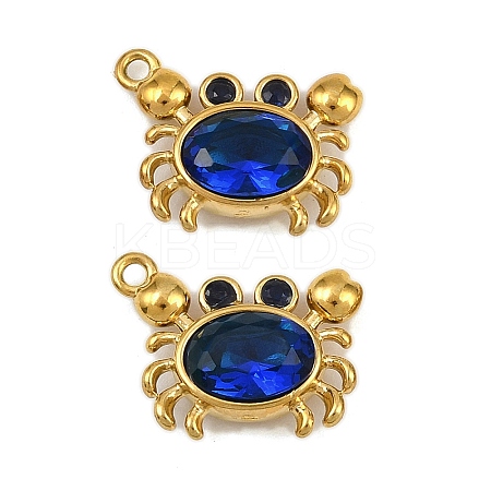 304 Stainless Steel Rhinestone Charms STAS-H242-05G-06-1