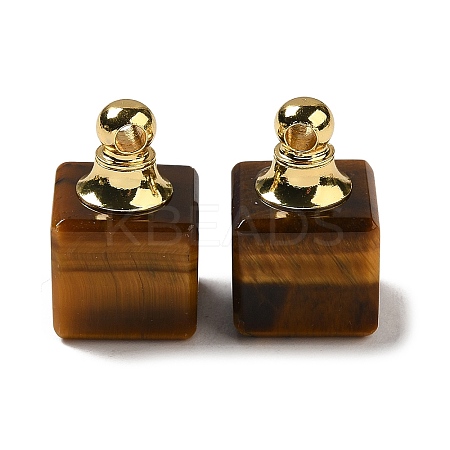 Natural Tiger Eye Perfume Bottle Pendants G-Z039-04G-02-1