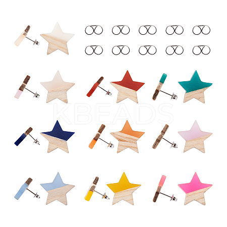 10 Pair 10 Color Transparent Resin & Wood Stud Earring Findings DIY-FW0001-09-1