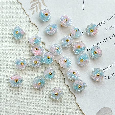 Two Tone Transparent Resin Charms LS-RESI-CJC0023-19A-1