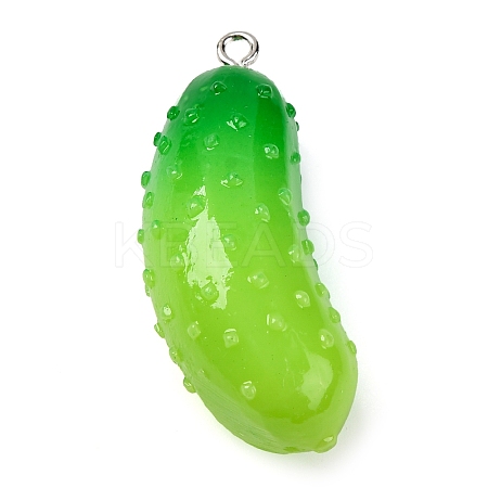Resin Pendants X-RESI-S010-03A-1
