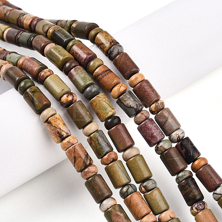 Natural Picasso Jasper/Polychrome Jasper Beads Strands G-N346-03A-05-1