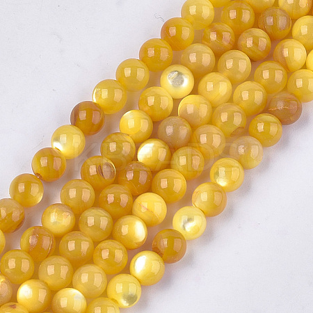 Yellow Shell Beads Strands SHEL-T012-50E-1
