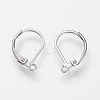 Tarnish Resistant 304 Stainless Steel Leverback Earring Findings LS-STAS-S066-13-2