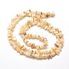 Natural Freshwater Shell Chip Bead Strands G-M205-20-2