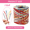 Segment Dyed Raffia Paper Cords for DIY Craft OCOR-WH20020-27H-2